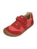 KOEL Sneaker Low DYLAN COTTON 3.0 in rot