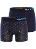 Happy Shorts Retroshorts Trunks in Rainbow Hearts