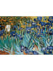 Eurographics Schwertlilien von Vincent van Gogh (Puzzle)