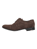 LLOYD Businessschuhe in Pepper