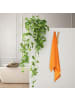 relaxdays 4 x Wandhaken "doppelt" in Natur