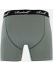 Reell Boxershort "Trunks Boxershort" in Grün