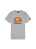 ellesse T-Shirt in Grau