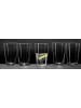 Ritzenhoff & Breker 6er Set Longdrinkbecher Loa in Transparent 400 ml in transparent
