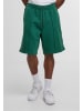 Rocawear Rocawear Shorts in green