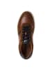 Marco Tozzi MT SPORT Sneaker in COGNAC