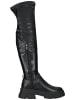 Steve Madden Stiefel in Schwarz