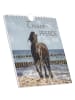 TeNeues Calendars & Stationery Kalender - Alpha Edition - Traumpferde Kalender 2026 - Postkartenkalender 16&ti
