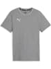 Puma T-Shirt "TeamGoal CasuaLongsleeve Tee Jr" in Grau