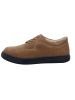 Finn Comfort Sneaker Low in braun