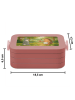 Mr. & Mrs. Panda Lunch Box Hase Igel Design ohne Spruch in Rot Pastell
