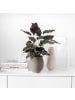 Villeroy & Boch Vase Manufacture Collier 18 cm in Taupe