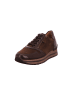 Gabor Sneaker Low in chocolate