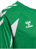 Hummel Longsleeve "Core 2.0 Jersey Longsleeve" in Grün