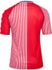 Hummel T-Shirt Dbu 86 Fußball Erwachsene in RED/WHITE