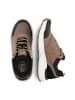 Camel Active Sneaker für Herren in schlamm