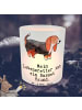 Mr. & Mrs. Panda Glas Windlicht Basset Hound Lebensretter mit Sp... in Transparent