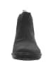 El Naturalista Stiefelette in schwarz