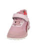 Ecco Klettschuhe in Rosa