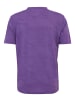 Joy Sportswear T-Shirt ARNO in purple power