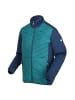 Regatta Softshelljacke Clumber III Hybrid in Grün