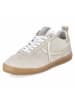 Bullboxer Low Sneaker in beige