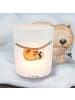 Mr. & Mrs. Panda Windlicht aus Glas Faultier Kind ohne Spruch in Transparent