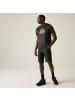 Regatta Wandershorts Highton II  in grün
