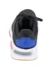 adidas Sneakers Low in carbon/cor black/team royal bl