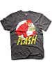 DC Flash T-Shirt in Grau