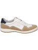 Josef Seibel Sneaker Caren 49 in weiss-beige