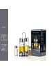 Ritzenhoff & Breker 5er Set Menageset Basic transparent-silber in transparent-silber