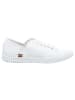 Andrea Conti SHOES Schnürschuhe in weiß