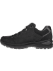 LOWA Wanderschuh RENEGADE EVO GTX LO in Schwarz0112