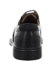 Josef Seibel Schnürschuh in schwarz