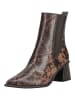 Paul Green Stiefelette in Braun