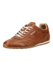 Bullboxer Sneaker in Cognac