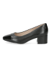 Caprice Pumps in Schwarz