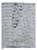 faina Women Clutch in Silver