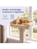 Feandrea Katzenbaum Clawfy in Beige - (B)40 x (H)71 x (T)45 cm
