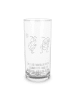 Mr. & Mrs. Panda Wasserglas Hummeln Kleeblatt mit Spruch in Transparent