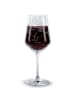 Mr. & Mrs. Panda Rotwein Glas Rabe Sombrero ohne Spruch in Transparent