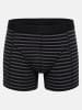 Tazzio Boxershorts 6er-Pack "BS1000" in Anthrazit/Schwarz