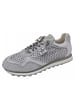Cetti Sneaker  in Grau