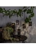 STAR Trading Solar-Gartenleuchten ,Izola', 2er-Set, Cut-Out Design, Kunststoff, sch