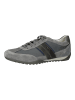 Geox Sneaker in Dunkelgrau