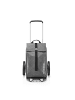 Reisenthel reisenthel Einkaufstrolley citycruiser twist silver