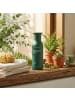AYUNCHE Shampoo Rebalancing Fresh, 200 ml
