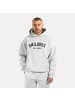 SMILODOX Hoodie Kayson in Grau Melange