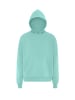 ALEKO Herren Hoodie in Eisminze